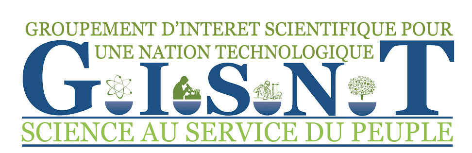 logo gisnt